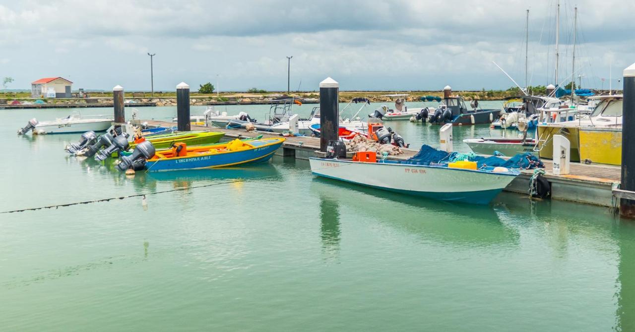 Studio Jacuzzi Et Piscine Au Centre Ville De Port-Louis Exterior foto